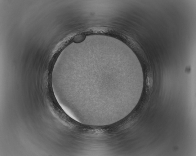 X0000115610492200912221210