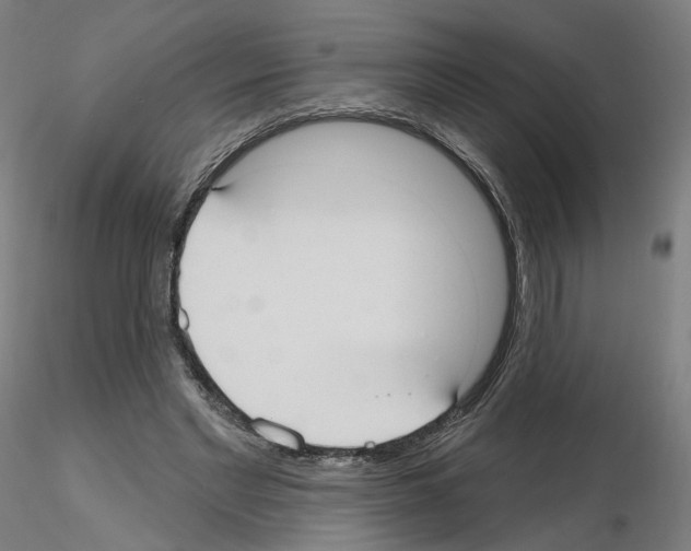 X0000115610493200912221210