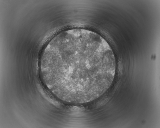X0000115610494200912221210
