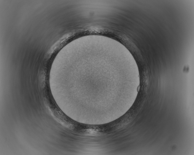 X0000115610496200912221210