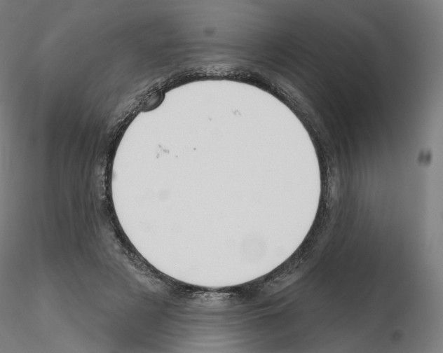 X0000115610497200912221210