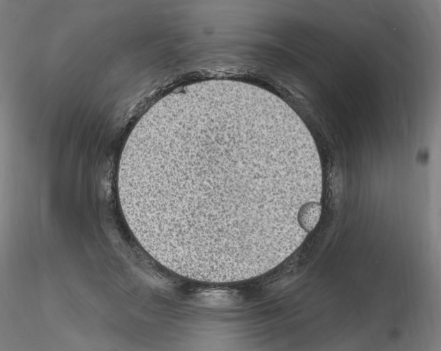 X0000115610499200912221210