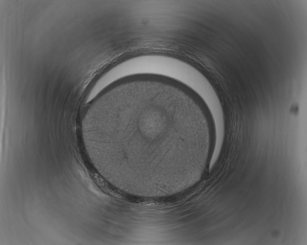 X0000115610500200912221210