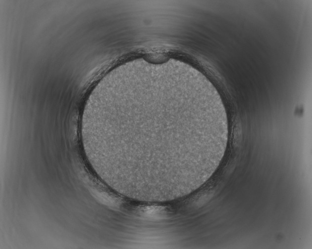 X0000115610501200912221210