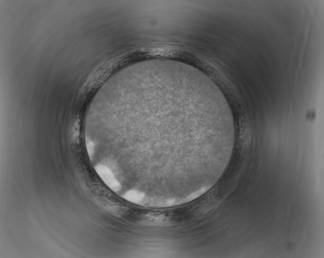 X0000115610502200912221210
