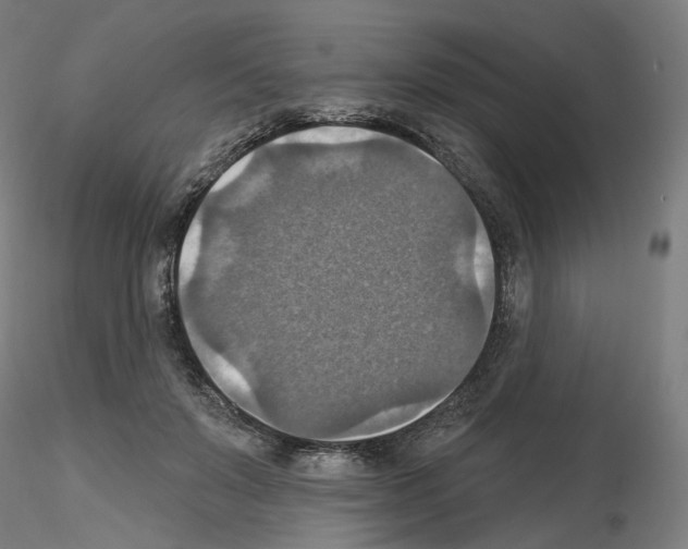 X0000115610503200912221210