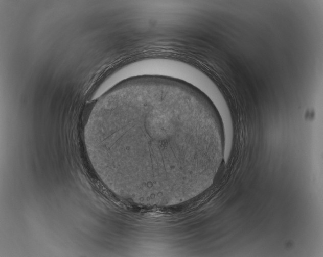 X0000115610504200912221210