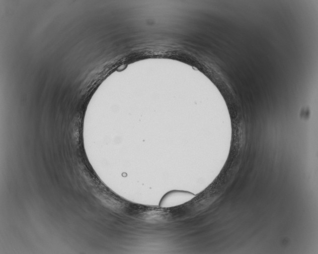 X0000115610505200912221210