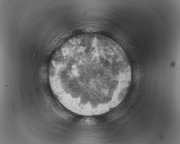 X0000115610506200912221210