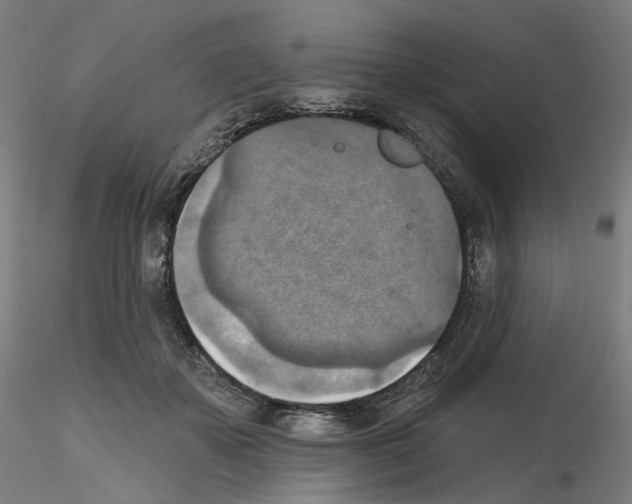 X0000115610507200912221210