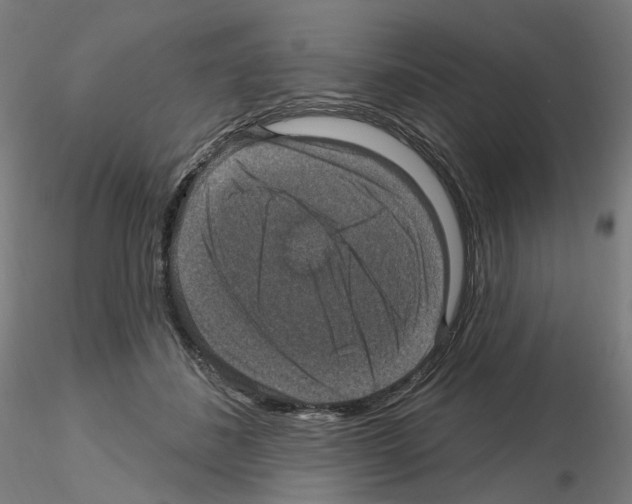 X0000115610508200912221210