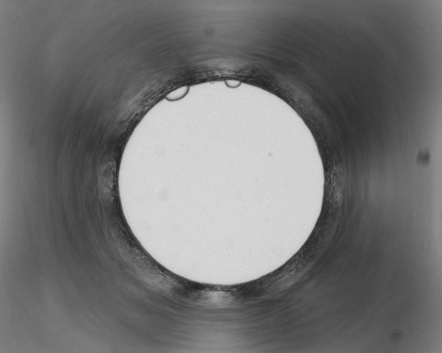 X0000115610509200912221210