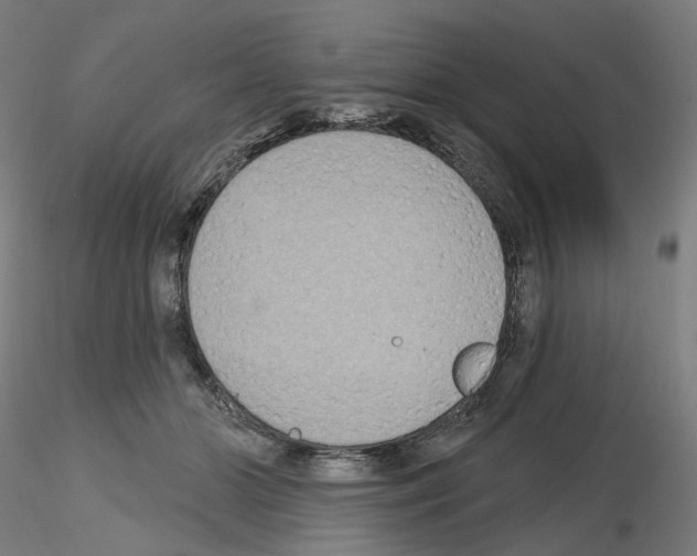 X0000115610510200912221210