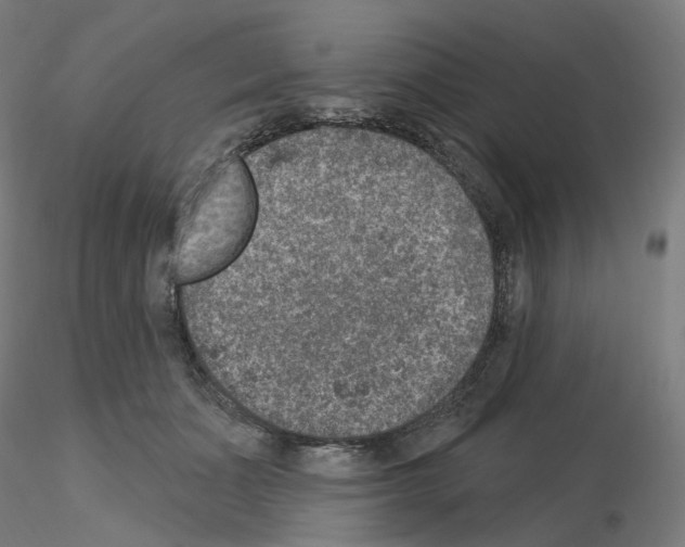 X0000115610511200912221210