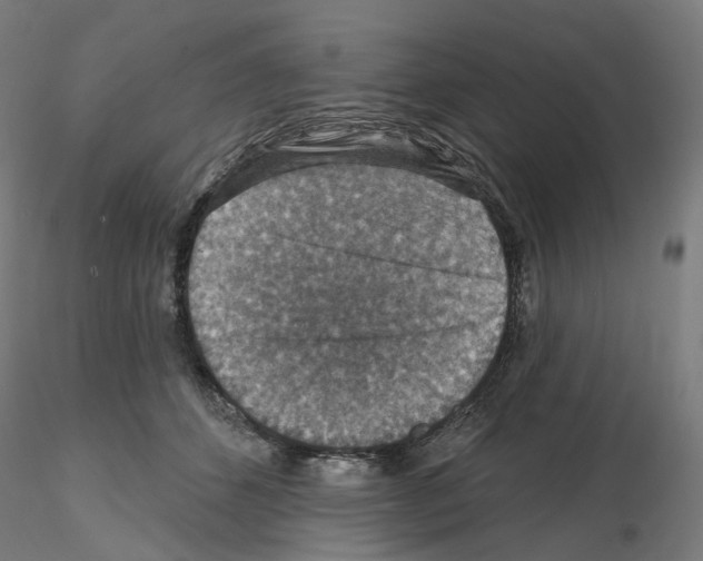 X0000115610512200912221210