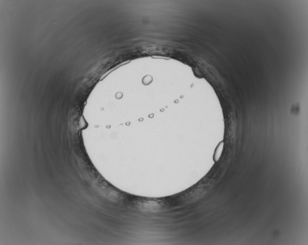 X0000115610513200912221210