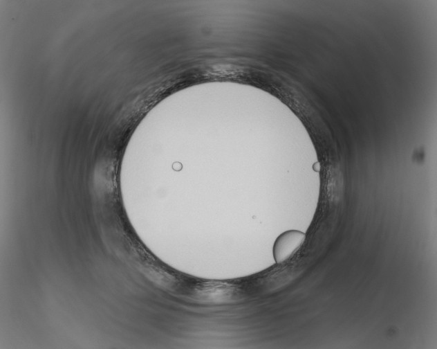 X0000115610514200912221210