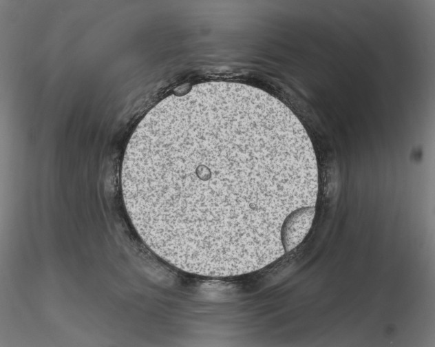 X0000115610515200912221210
