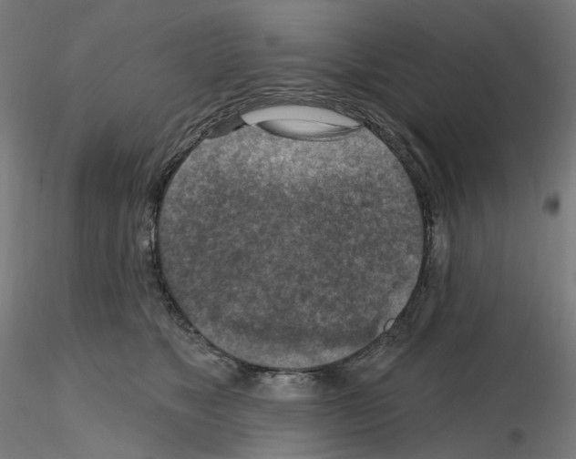 X0000115610517200912221210