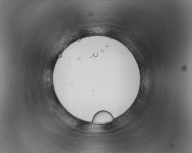 X0000115610518200912221210