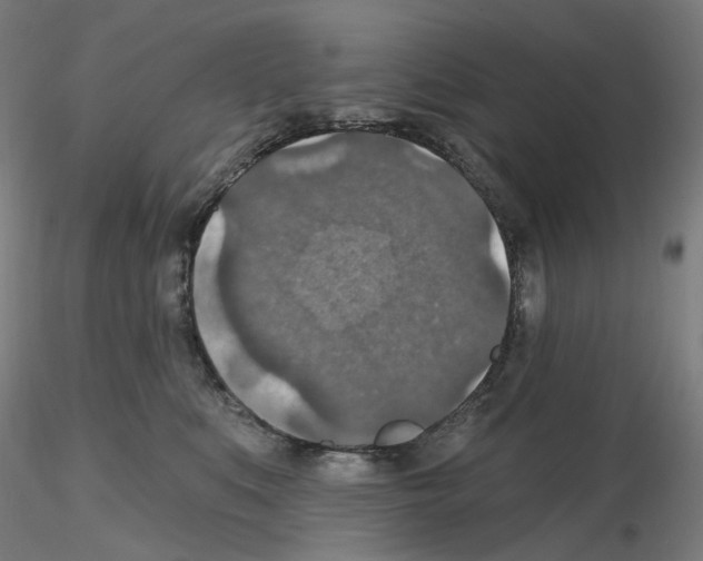 X0000115610519200912221210