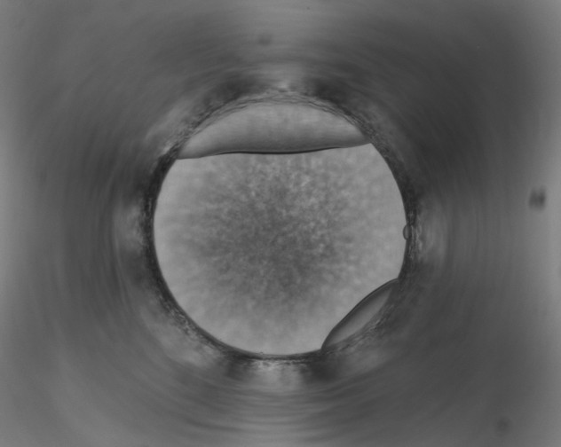 X0000115610520200912221210