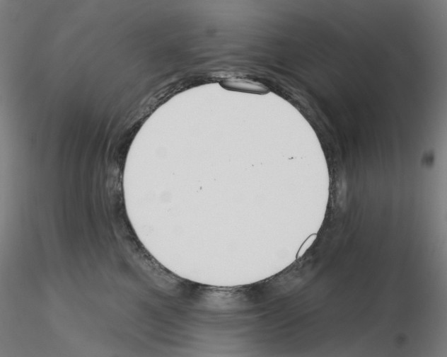 X0000115610521200912221210