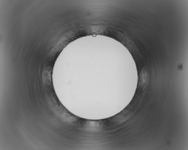 X0000115610522200912221210