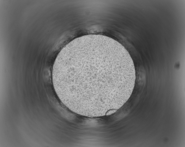 X0000115610523200912221210
