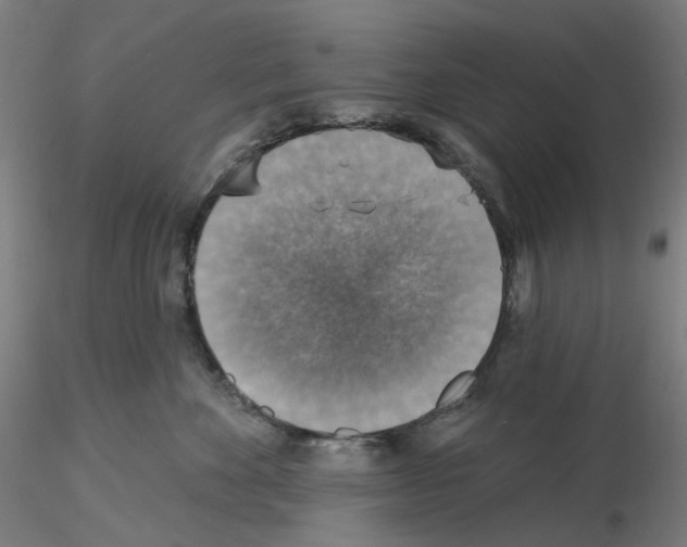 X0000115610524200912221210