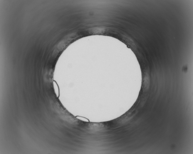 X0000115610525200912221210