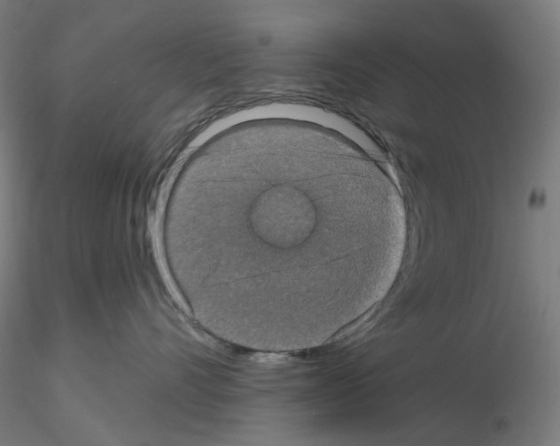 X0000115610528200912221210