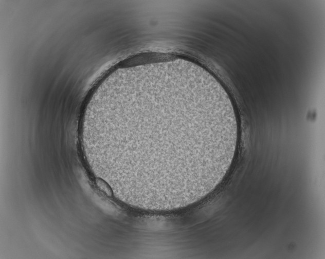 X0000115610530200912221209