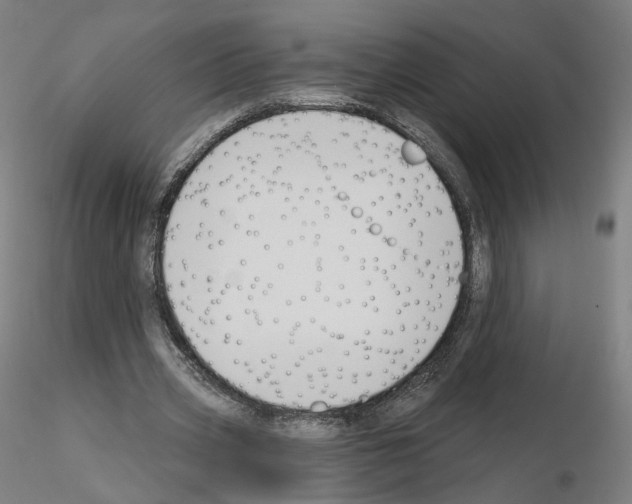 X0000115610533200912221209