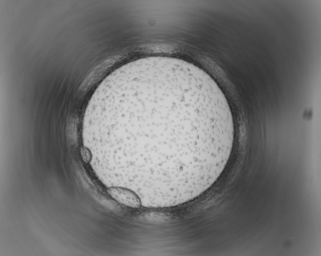 X0000115610537200912221209