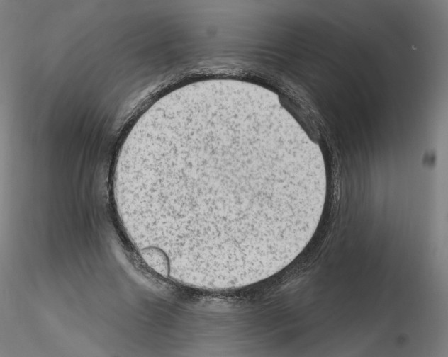 X0000115610538200912221209