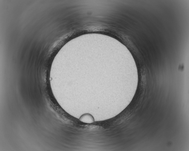 X0000115610539200912221209