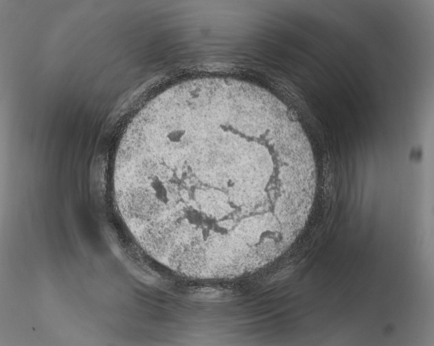 X0000115610542200912221209