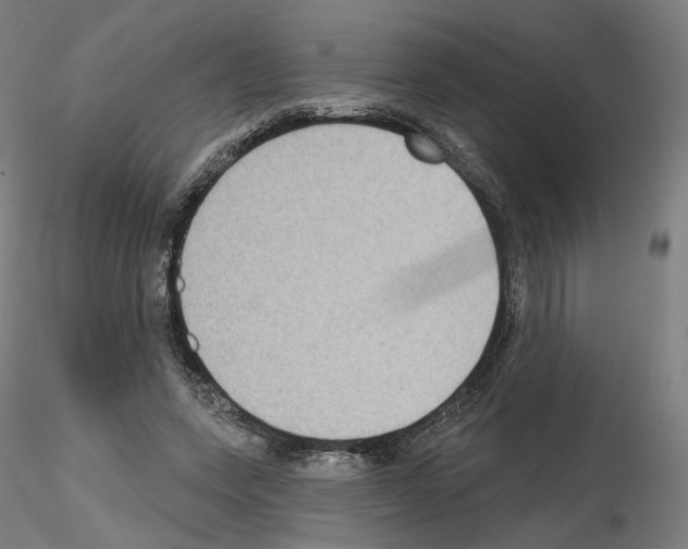 X0000115610543200912221209