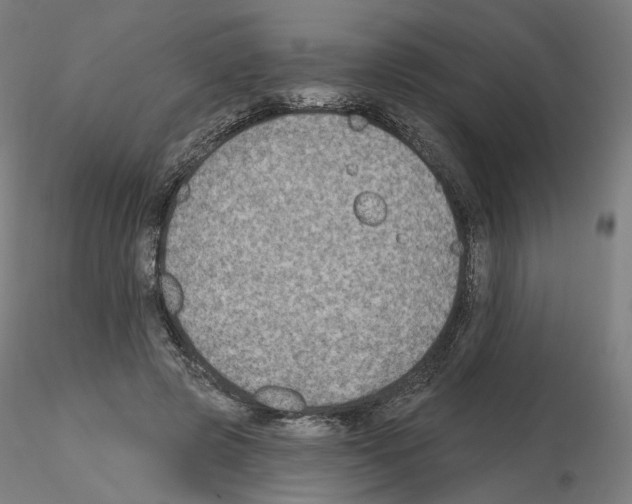 X0000115610545200912221209