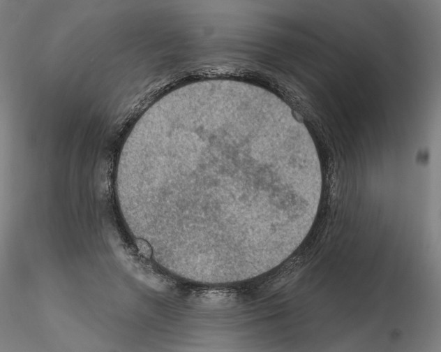 X0000115610546200912221209