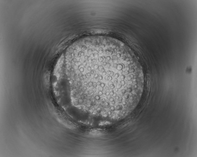 X0000115610550200912221209