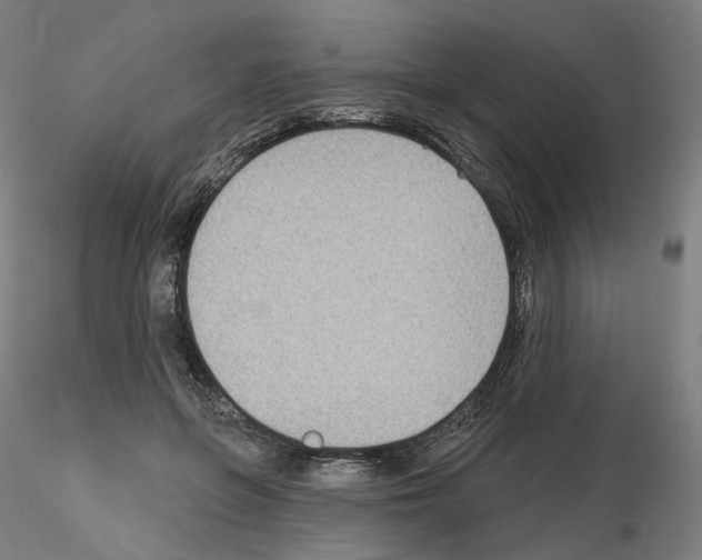 X0000115610551200912221209