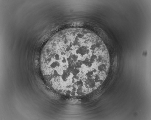 X0000115610553200912221209