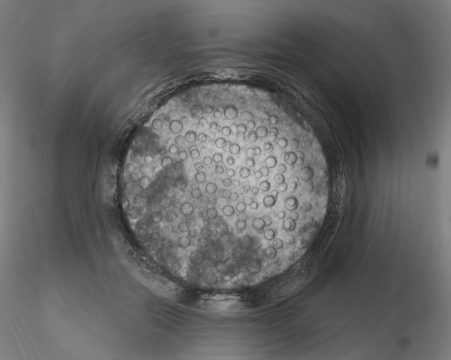 X0000115610554200912221209