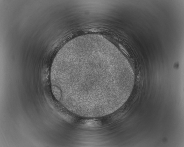 X0000115610555200912221209