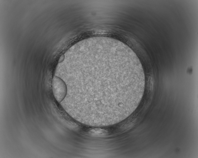 X0000115610557200912221209