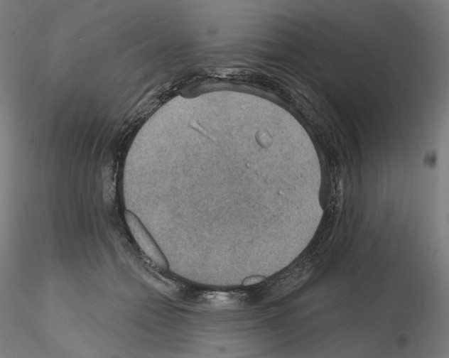 X0000115610558200912221209