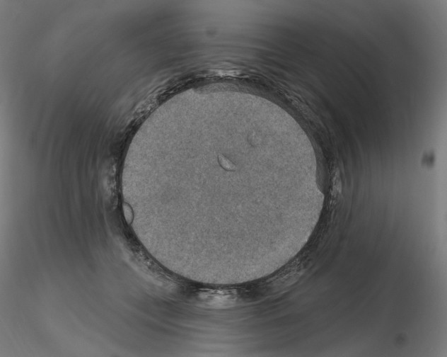 X0000115610559200912221209