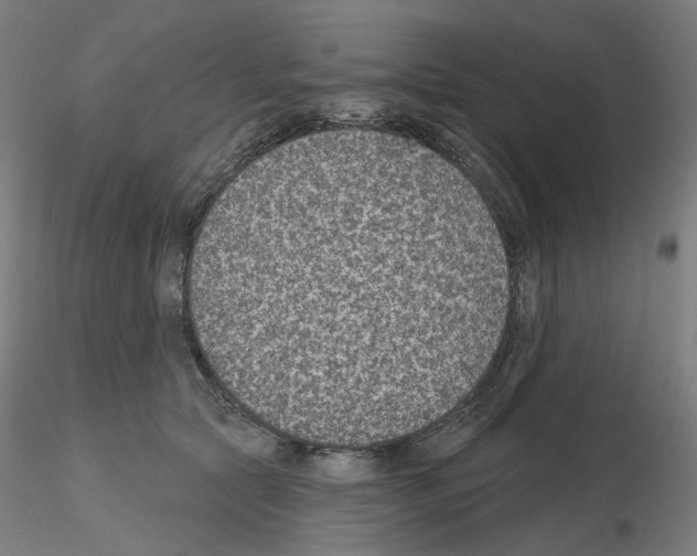 X0000115610561200912221209